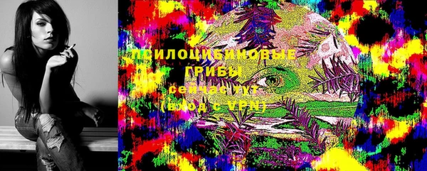 MDMA Белокуриха